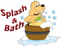 dog bath